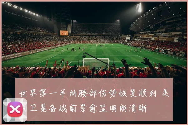 世界第一辛纳腰部伤势恢复顺利 美网卫冕备战前景愈显明朗清晰
