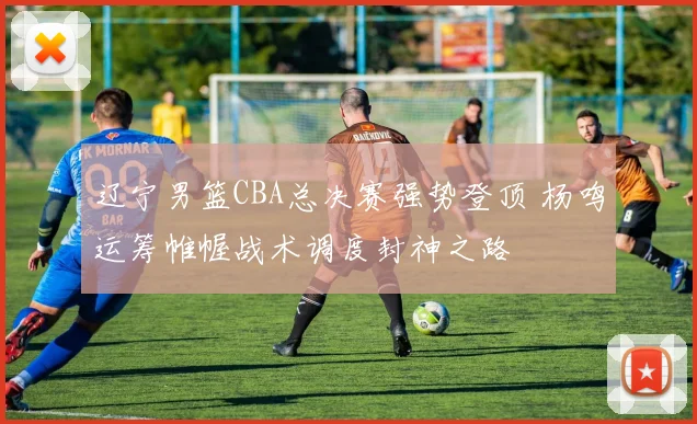 辽宁男篮CBA总决赛强势登顶 杨鸣运筹帷幄战术调度封神之路